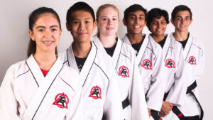 Martial Arts Pricing  Taekwondo Lesson Pricing - Tiger-Rock