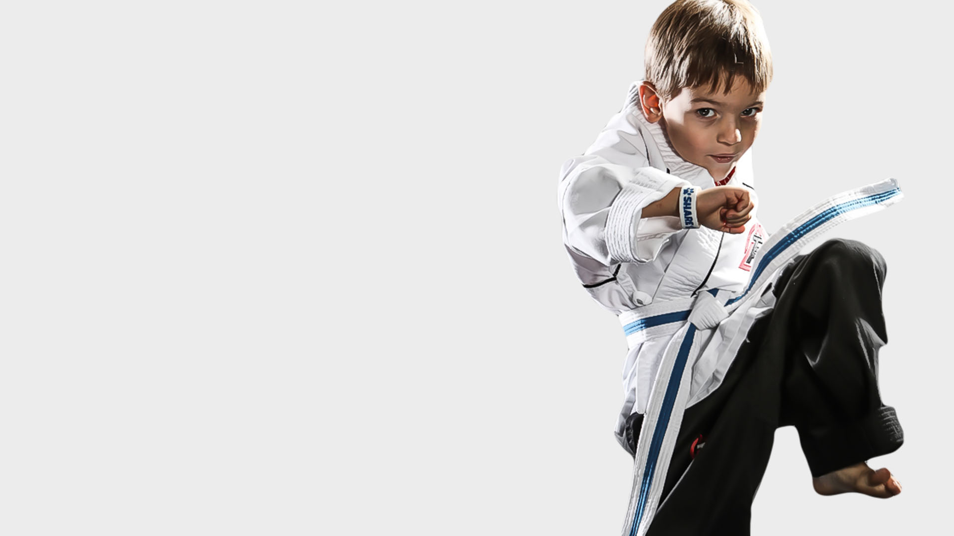 headerbackgroundkidsmartialarts2 TigerRock Martial
