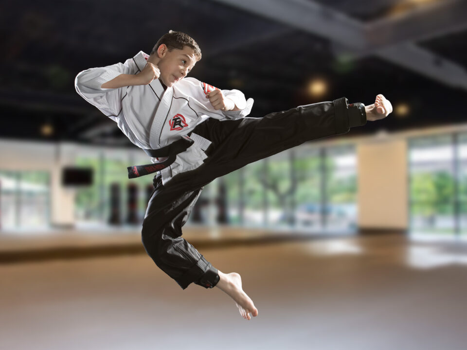 Martial Arts Academy, TaeKwonDo, Interval Fitness Training/Classes - Tiger  Rock Martial Arts International (TRMAI)